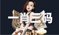 2019汗青开成果查询