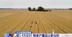 <b>2024年终察看丨本年我国粮食产量初次冲破</b>