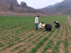 <b>春耕出产看三秦 陕西商南：田间送手艺</b>